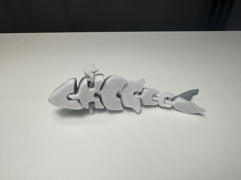 3D printed articulated shark. 7 in long. Decor