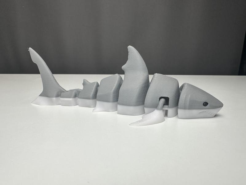 3D printed articulated shark. 7 in long. Decor