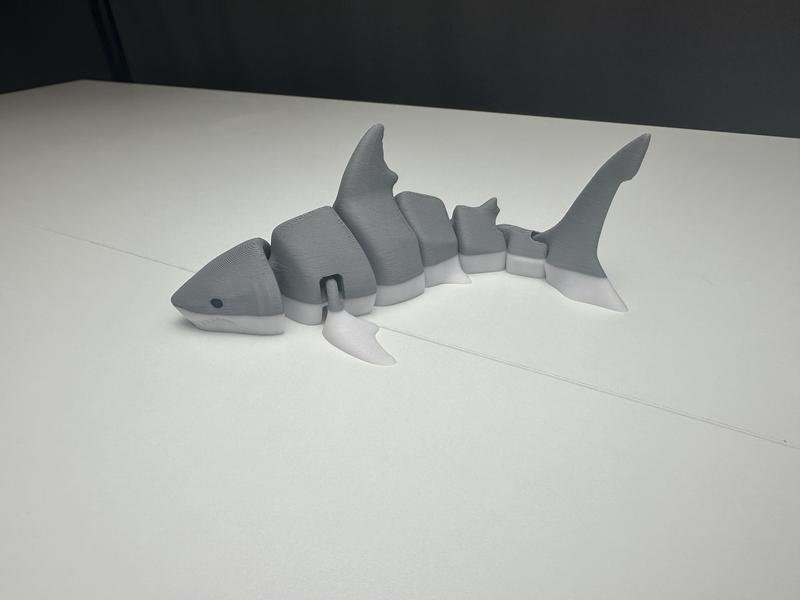 3D printed articulated shark. 7 in long. Decor