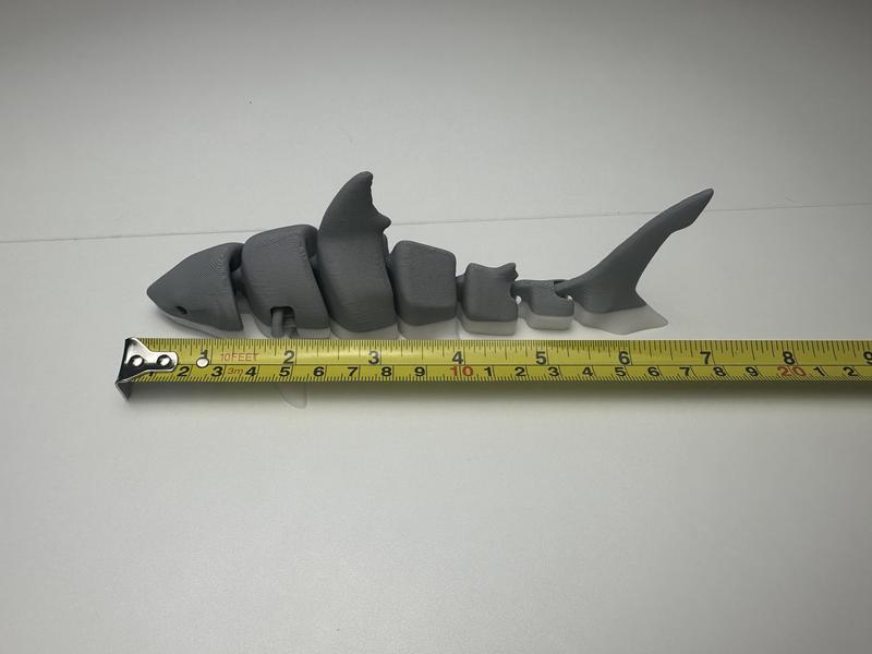 3D printed articulated shark. 7 in long. Decor