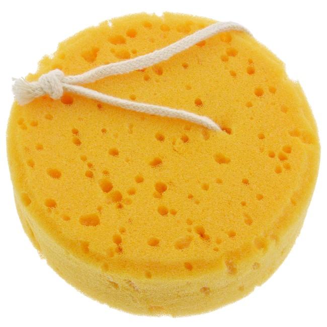 Bath Sponge (DT)