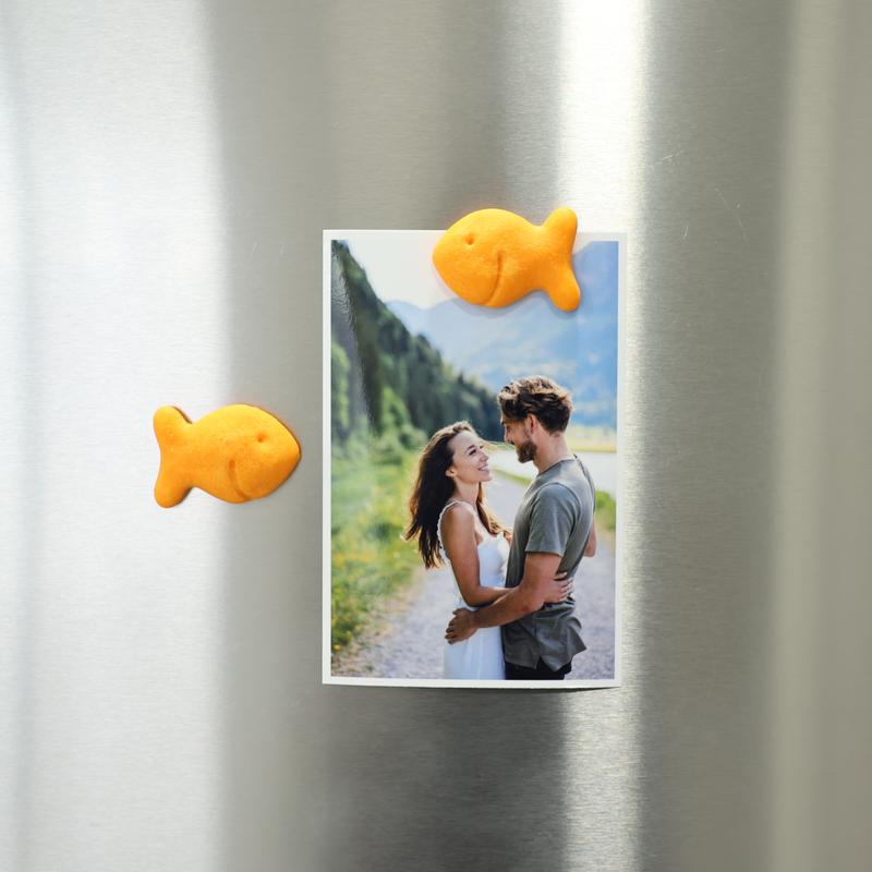 Holdfish Fridge Magnets Large Size Set of 2 Pcs, Goldfish Crackers Lovers Gift Idea for Kitchen Decor, Unique Christmas Gift