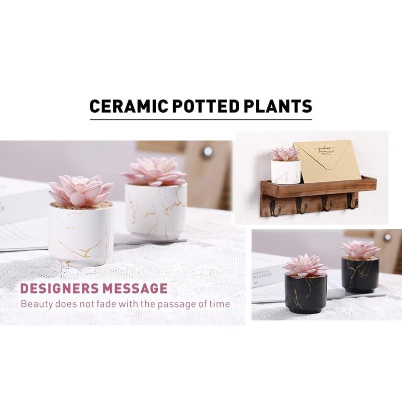 Artificial Plants and Succulents in 1 or 2 White Ceramic Pots,Small Fake Plants for Office and Desk Decor,Bathroom, Bedroom,Shelves for Women