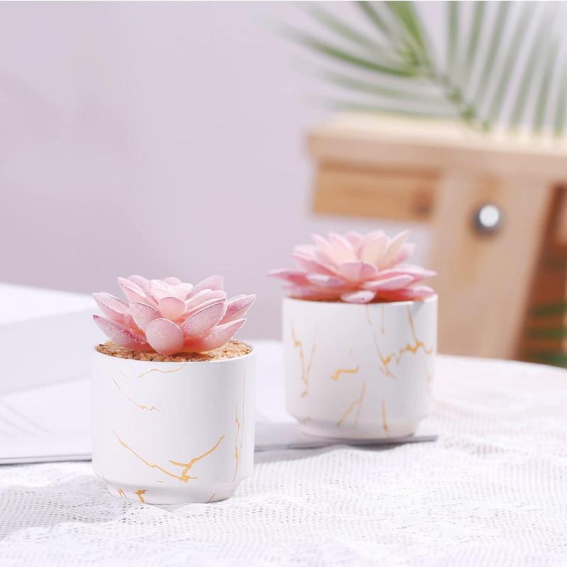 Artificial Plants and Succulents in 1 or 2 White Ceramic Pots,Small Fake Plants for Office and Desk Decor,Bathroom, Bedroom,Shelves for Women