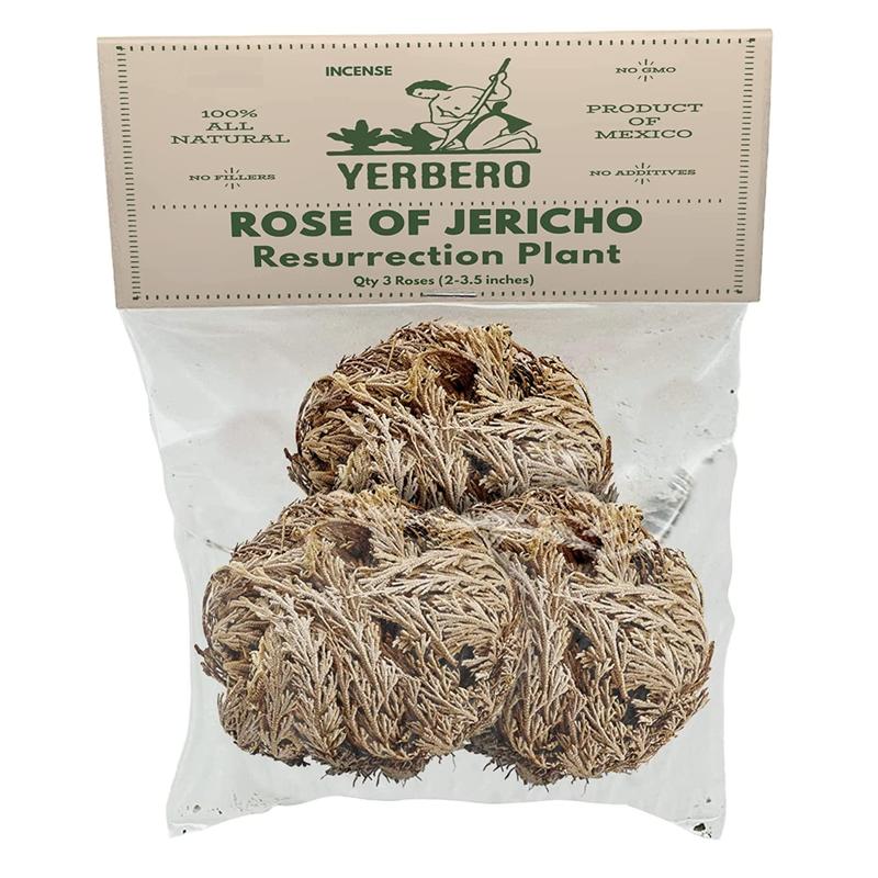 Yerbero - 3 Piece Bundle Rose of Jericho Dried Flower | Selaginella Lepidophylla | Resurrection Plant | 3 Medium Size Roses | Abundance, Prosperity, Sacred Doradilla Plant