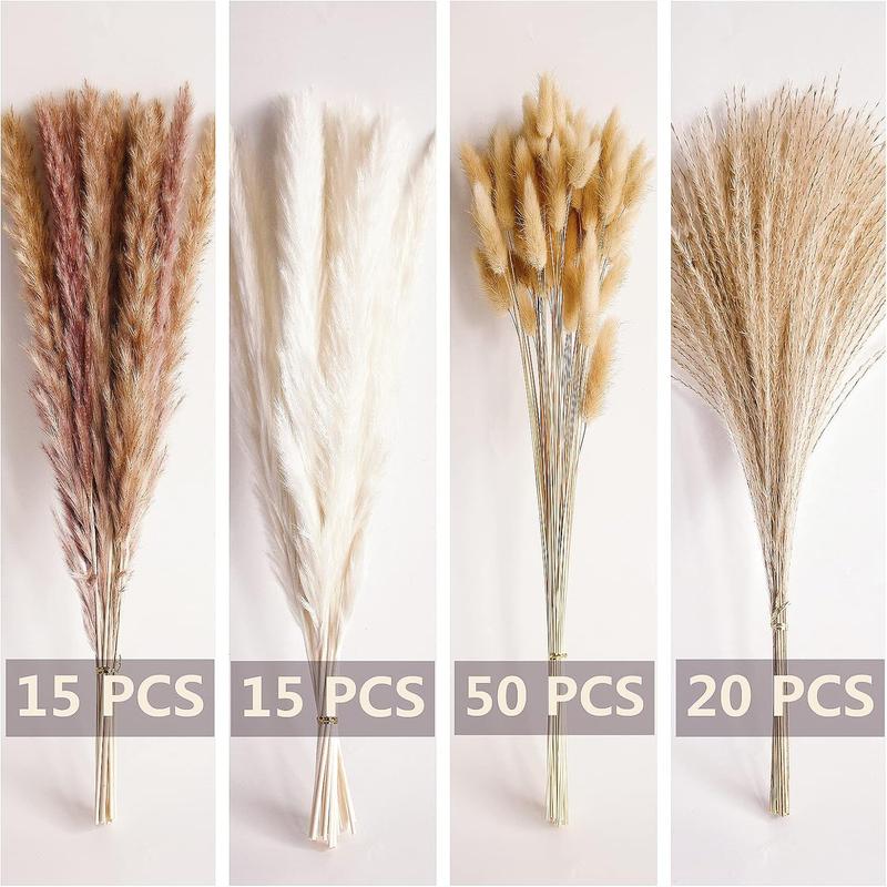 100 PCS Small Boho Pampas Grass 17