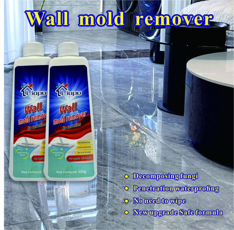 Highly Effective Mould Removal Spray - Prevents Mould Regrowth