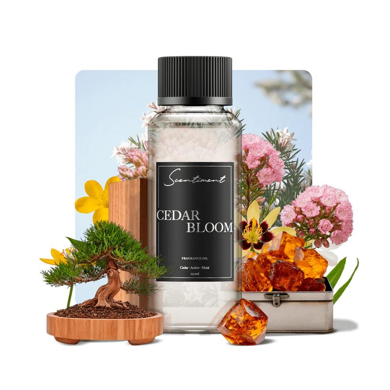 Cedar Bloom - Home Fragrance Oil