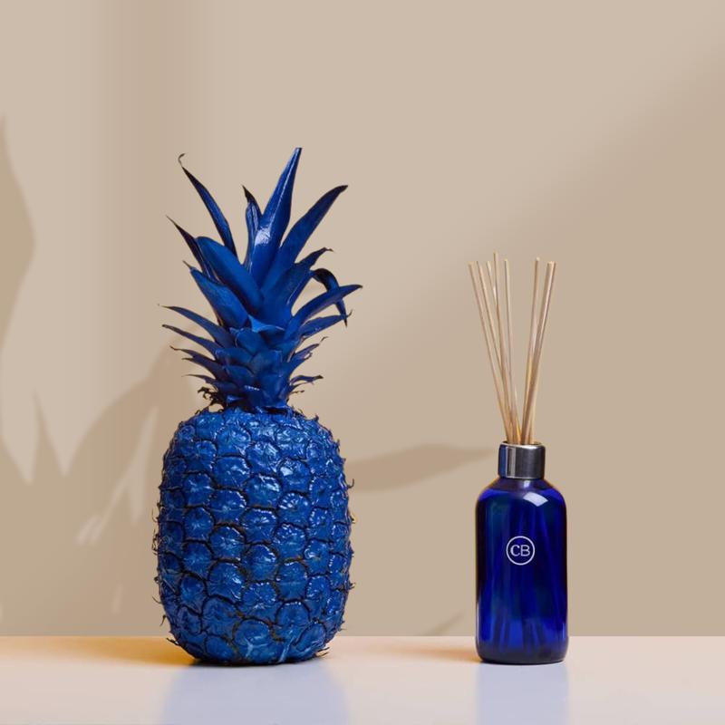 Capri Blue Volcano Candle 19 oz, Reed Oil Diffuser 8 oz with Sticks – Navy Blue Scented Aromatherapy Set for Home , Freshener, Fragrance