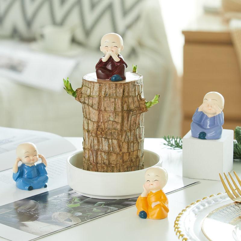 Brazilian wood decorations, Brazilian lucky wood, mini Brazilian lucky wood with tray and mystery doll, purify indoor air, mini potted plant decorations, suitable for home office desktop, not moldy in transit