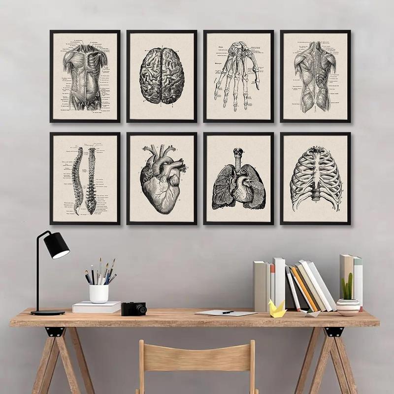 Anatomy Pattern Unframed Painting, 8 Counts set Human Anatomy Vintage Canvas Poster, Modern Wall Art for Home Office Bar Hospital School Decoration, Bedroom Decor