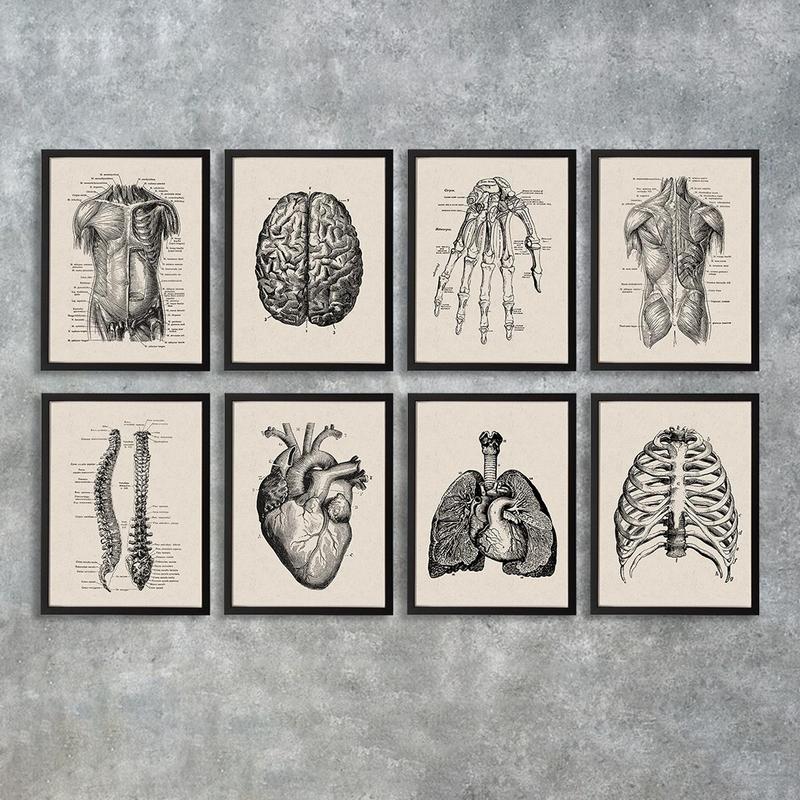 Anatomy Pattern Unframed Painting, 8 Counts set Human Anatomy Vintage Canvas Poster, Modern Wall Art for Home Office Bar Hospital School Decoration, Bedroom Decor