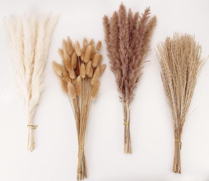 100 PCS Pampas Grass Contains Bunny Tails Dried Flowers, Reed Grass Bouquet for Wedding Boho Flowers Home Table Decor, Rustic Farmhouse Party (White and Brown) Decorative Fruit