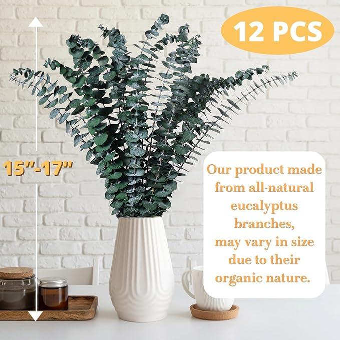 12 Pcs Dried Eucalyptus for Shower Hanging - 17'' Large Preserved Eucalyptus Stems Green Home Decor, From Fresh Eucalyptus Leaves, Bathroom Shower Decor, Wedding, DIY